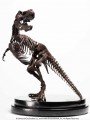 Elite Creature Collectibles - 1/24 Scale Statue - Rotunda T-Rex Skeleton Bronze 1/24 (Jurrassic Park)