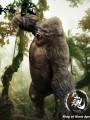 Nanmu Studio - 172060 - Dragon Soul Series - King of Giant Apes Fury