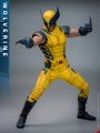 Hot Toys - MMS753 - 1/6 Scale Figure - Wolverine 