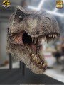 Elite Creature Collectibles - 1/1 Scale - Life-Size Tyrannosaurus Rex Head 