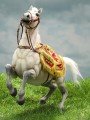 DID - E60078 - 1/6 Scale Figure - Napoleon White War Horse (Prancing)