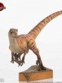 Elite Creature Collectibles - 1/4 Scale Statue - Male Raptor Maquette (Jurassic Park) 