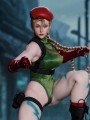 Play Toy - P020A - 1/6 Scale Figure - Fighting Girl ( Green Ver. )