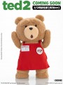 Pop Mart - 1/2 Scale Figure - Ted 2 Plush Doll 