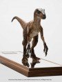 Elite Creature Collectibles - 1/5 Scale Statue - Clever Girl Velociraptor Maquette