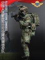 Soldier Story - SS133 - 1/6 Scale Figure - PLA Air force Airborne Commandos