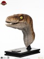 Elite Creature Collectibles - 1/1 Scale - Male Velociraptor Life Size Bust (Jurassic Park ) 