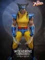 Hot Toys x Hono Studio HS06 - 1/6 Scale Figure - Wolverine Unmask Version 