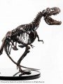 Elite Creature Collectibles - 1/8 Scale Statue - Rotunda T-Rex Skeleton Bronze 1/8 (Jurrassic Park)