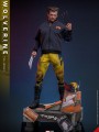 Hot Toys - MMS756 - 1/6 Scale Figure - Wolverine ( TVA Jacket Version )