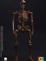101TOYS - 1/12 Scale Figure - ES026 - Palm Elf Series Skeleton Frame Body (Limited Rose Gold Edition)