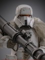 Hot Toys - TMS157 - 1/6 Scale Figure - Range Trooper