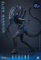 Hot Toys - MMS898 - 1/6 Scale Figure - Aliens Warrior 