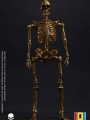 101TOYS - 1/12 Scale Figure -  ES025 - Palm Elf Series Skeleton Frame Body (Limited Gold Edition)